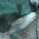 Raku Nudo